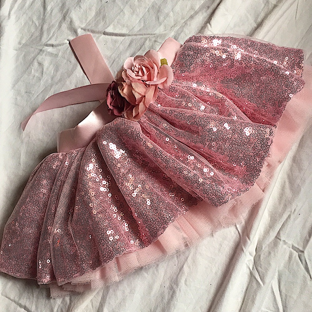 Girls dance tutu.